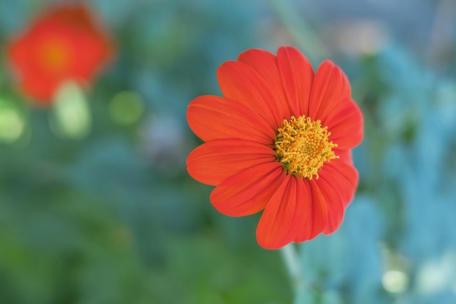 球队官方宣 球队官方宣