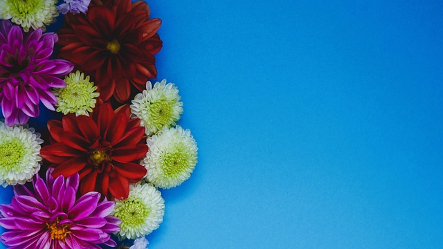 也要重视团 也要重视团